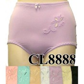 Angelina Nylon/Spandex Woman's Briefs