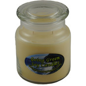 Peppermint Pattie Soy Candle - 18oz Apothecary Jar