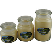 Cabernet Fine Wine Soy Candle - 3 Apothecary Pack