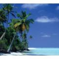 Beach Deluxe Antimicrobial Mouse Mat