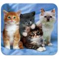 Kittens Deluxe Antimicrobial Mouse Pad/Mat