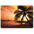 Skinware Palm Sunset