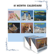 16 Month Calender 2010