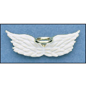 Angel Wings Pin