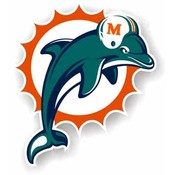 Miami Dolphins - 12" Vinyl Magnets