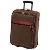 20" Brown Faux Leather Trolley Case