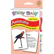 Brainy Baby Flash Cards