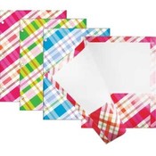 CPP Perfectly Plaid 2-Pockets Portfolios