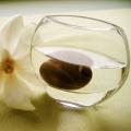 Handblown Clear Glass Petite Moon Vase - Small