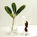 Handblown Glass Tulip Flip Vase - Large