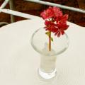 Handblown Tulip Flip Glass Bud Vase - Small