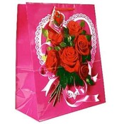 Luv and Hearts Gift Bag