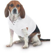 Doggie Skins Baby-Rib Golf Shirt White Size Medium
