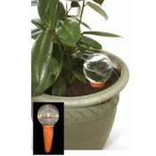 Plant Feeder Glass Globe Watering System