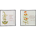 Scripture Plates