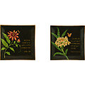 Scripture Plates