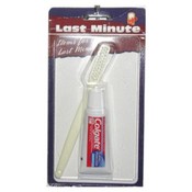 2 Piece Mini Dental Kit