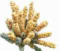Artificial Flowers