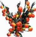 Persimmon- 7 Heads