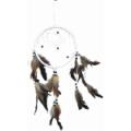 Dream Catcher