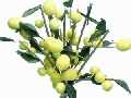 Artificial Fruit Tree - Lemon