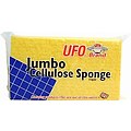 Sponges