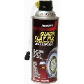 Tire Inflator With Hose