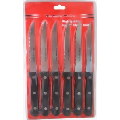 6 piece Steak Knife Set
