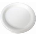 10" Plastic Plates
