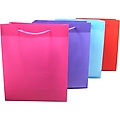 Giftbag Medium Assorted 22X18X8Cm