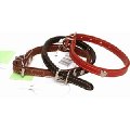 Small Dog Collar