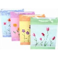 Gift Bags, Assorted