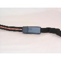 Lighted Up Dog Leash