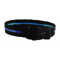 Lighted Up Dog Collar