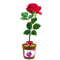 Singing Rotating Flower