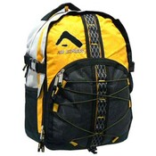 17" Backpack
