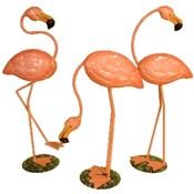 Flamingo(Case of 6)