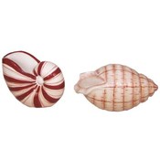 Shell Salt and Pepper Shakers