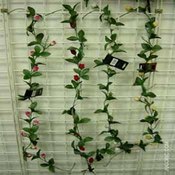4' Garland Small Roses