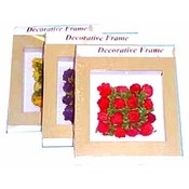 Decorative Frame-4 Assorted Styles