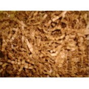 Kraft Crinkle Paper Shred, 5 Pounds