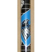 Panthers Gift Wrap