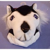 University of Washington Huskies
