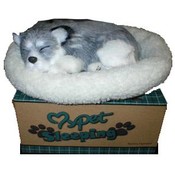 Lifelike Breathing Huskey Dog