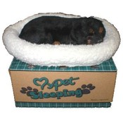Lifelike Breathing Rottweiler Puppy