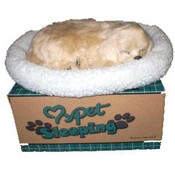 Golden Retriever Battery Operated Breathing Dog
