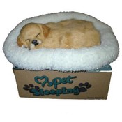 Life-Like Breathing Cocker Spaniel Puppy