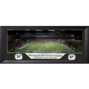 Raymond James Stadium Panoramic 15x35 Frame(Case of 3)