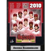 2010 Arizona Diamondbacks 9x12 Plaque(Case of 14)