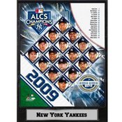 New York Yankees 2009 AL Championship Photo